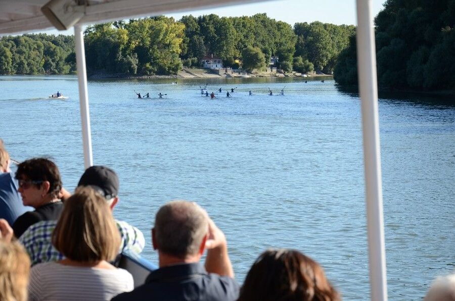 Hungary: Full-Day Private Danube Bend Tour - Should You Book the Hungary: Full-Day Private Danube Bend Tour?