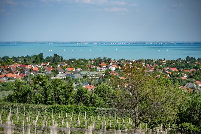 Lake Balaton Full Day Private Wine Tour - Why Lake Balaton Wine Tasting Feels Worth Doing From Budapest