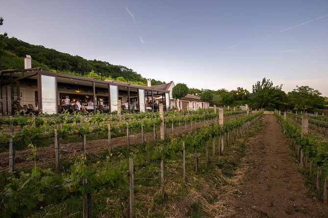 Lake Balaton Full Day Private Wine Tour - Balatonfüred’s Tagore Promenade Stroll, Spa Town Vibes Included