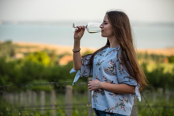 Lake Balaton Full Day Private Wine Tour - North Shore Winery Visits and Tastings Up to 11-12 Wines