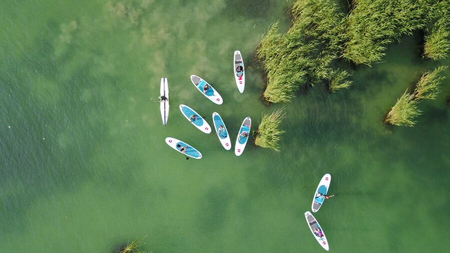 Lake Balaton: Paddle Board Tour of Tihany National Park - Wildlife, reeds, and the joy of going slowly