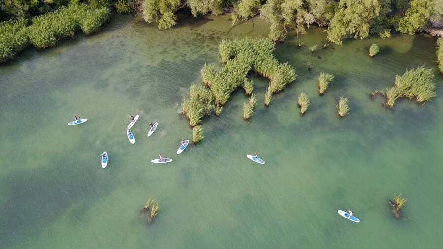 Lake Balaton: Paddle Board Tour of Tihany National Park - Finding the SUP Center at Club Tihany (and parking without stress)