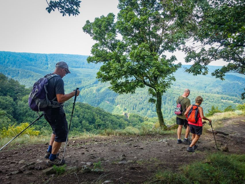 One Day Wonder Hike - The Essence of the Danube Bend - The Steep Start to Vadallo Stones, and Why It’s Worth Bracing for