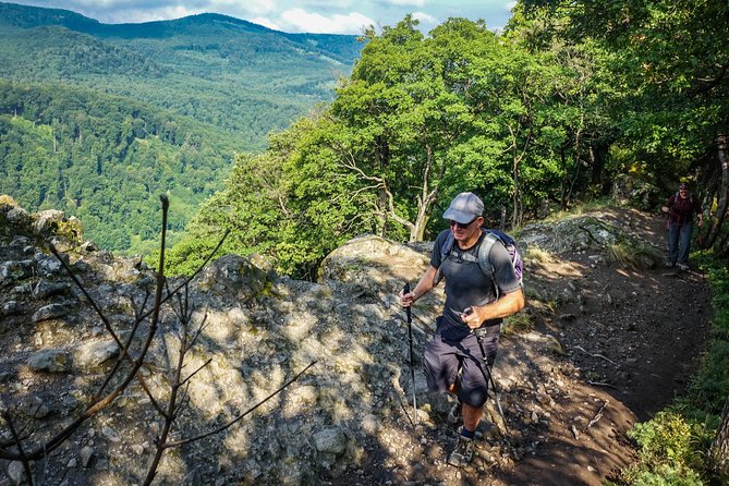 One Day Wonder Hiking Trip - Dömös and the Trail Circuit: Getting to the Real Hiking Part Fast