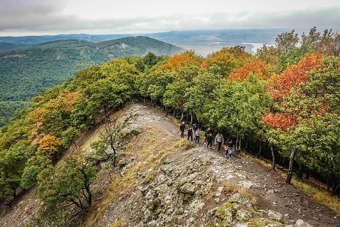 One Day Wonder Hiking Trip - Vallído Rock and the Gorge Ladders: Height, Fun, and a Real Balance Test