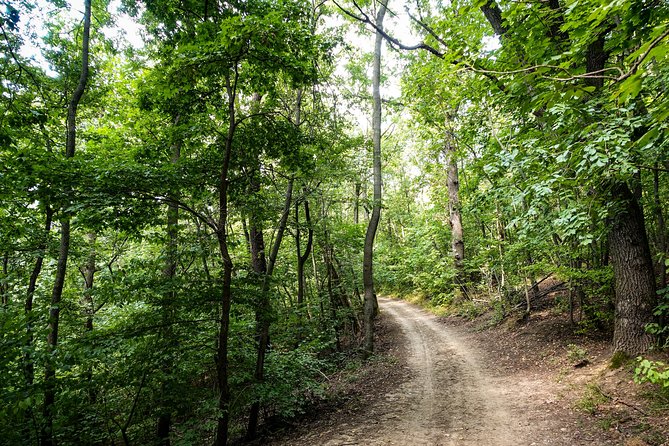 Panoramic hike around Budapest - Getting there and out without the usual Budapest headache