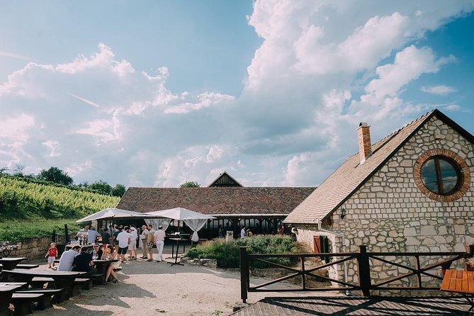 Private Etyek Wine tour with dinner including a Budapest Danube Evening Cruise - Price and Value: Is $336 Per Person Fair?