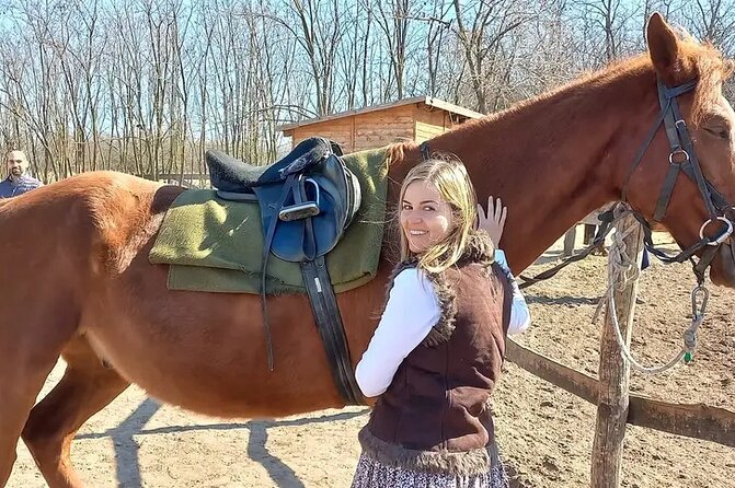Private Horse Riding near Budapest with transport - How the pace gets set for your experience level