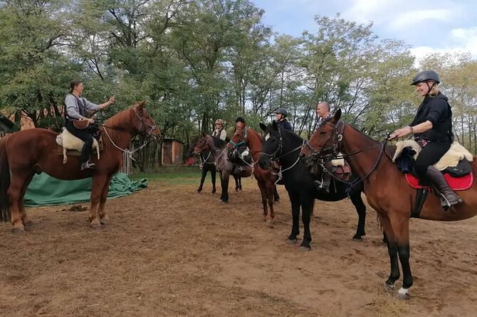 Private Horse Riding near Budapest with transport - The horses and safety feel: what you can reasonably expect
