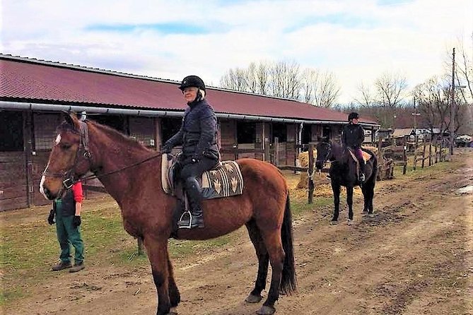 Private Horse Riding near Budapest with transport - Getting there: hotel pickup or meeting at Dunakeszi