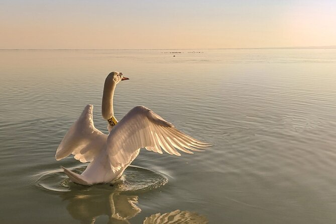 Private tour from Budapest to a top hidden treasure region of Europe: Lake Balaton - Szántód-Tihany Ferry: A Real Lake Crossing, Ticket Included