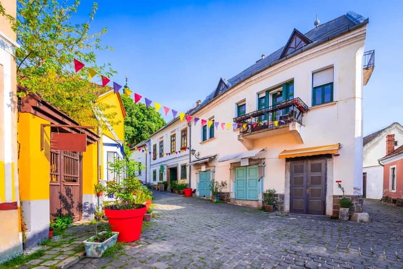 Private trip: Budapest to Szentendre, Visegrád & Esztergom - Your Private Vehicle and Driver Setup: Comfort Without the Show