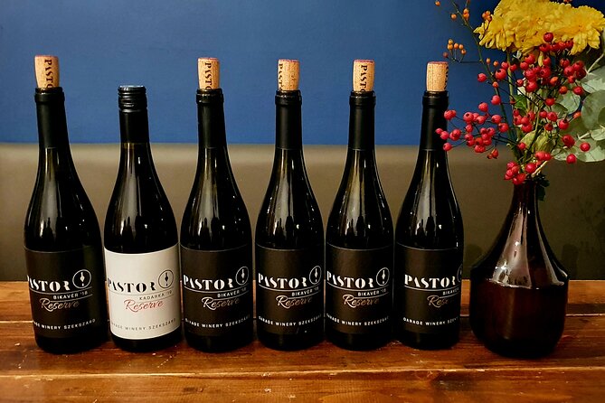 Private Wine Tasting in Budapest - Snacks and Tapas Pairing That Keeps the Evening Comfortable