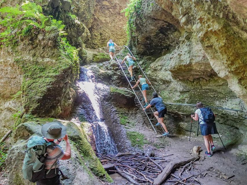 Ram Gorge Hiking Adventure - Entering the Ram Gorge: forest shade, beech and oak, and steady footing