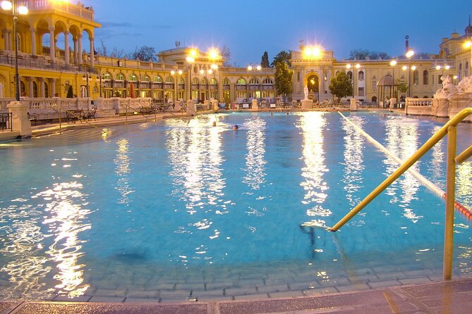 Széchenyi Thermal Spa Palm House Pass - Exclusive Area - Palm House greenhouse: the mood shift you came for