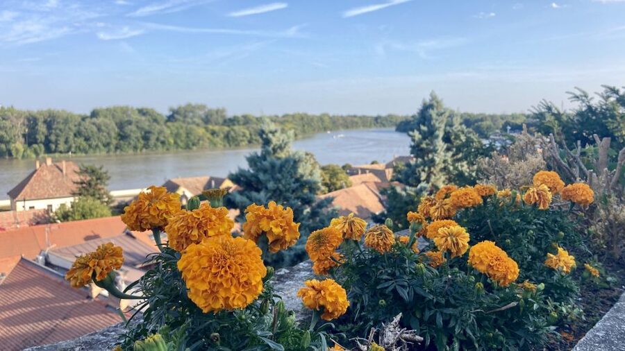 Szentendre: Arts and Cafés Tour (Half-Day Private Tour) - Cafés And Cake Time, How To Plan Your Break
