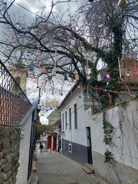 Szentendre: Half-Day Private Tour from Budapest - Key highlights you will feel right away