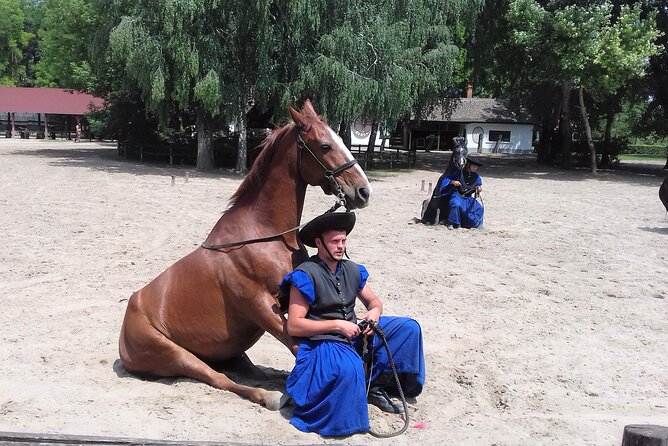 The "Puszta" Horse Show - Key highlights to look forward to
