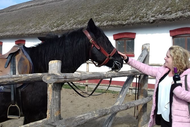 The "Puszta" Horse Show - What you’re really paying for at $134.63