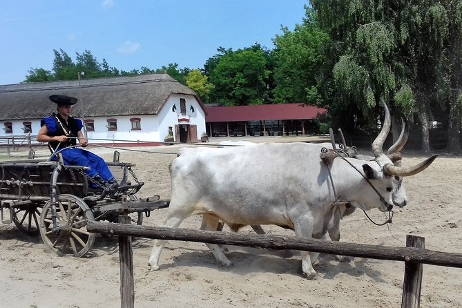 The "Puszta" Horse Show - Photo and viewing tips for the stands