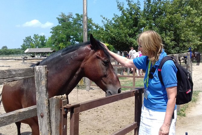 The "Puszta" Horse Show - Who this tour fits best (and who should skip it)