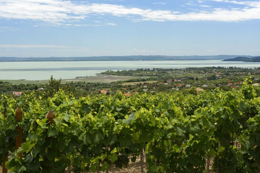 The Turquoise Sea of Hungary: Lake Balaton Private Tour - Key points before you go