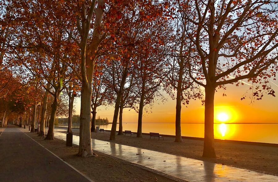 The Turquoise Sea of Hungary: Lake Balaton Private Tour - The 10-Minute Ferry Ride That Changes How the Lake Hits You