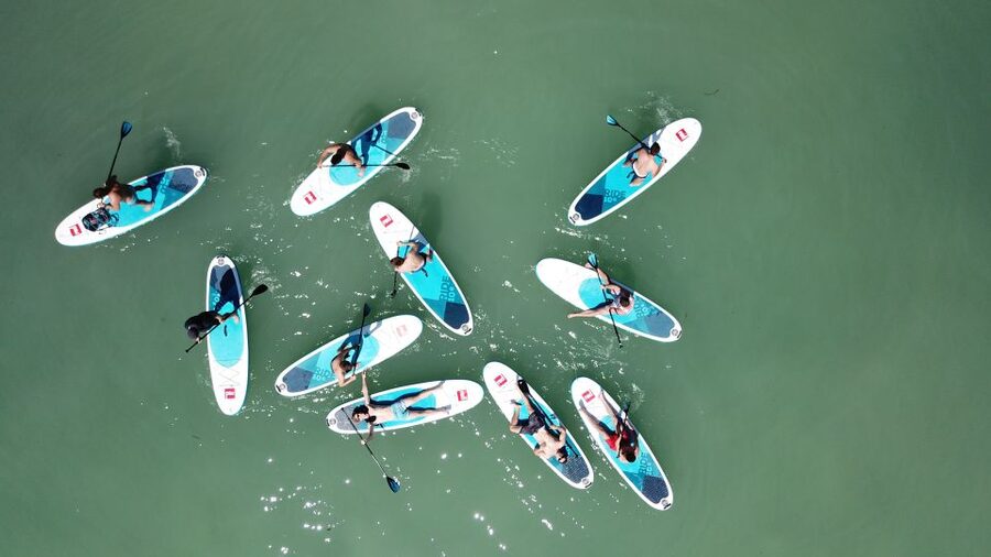 Tihany: SUP Course and Tour at Lake Balaton - The 2 hour flow: simulator skills, then a short SUP tour