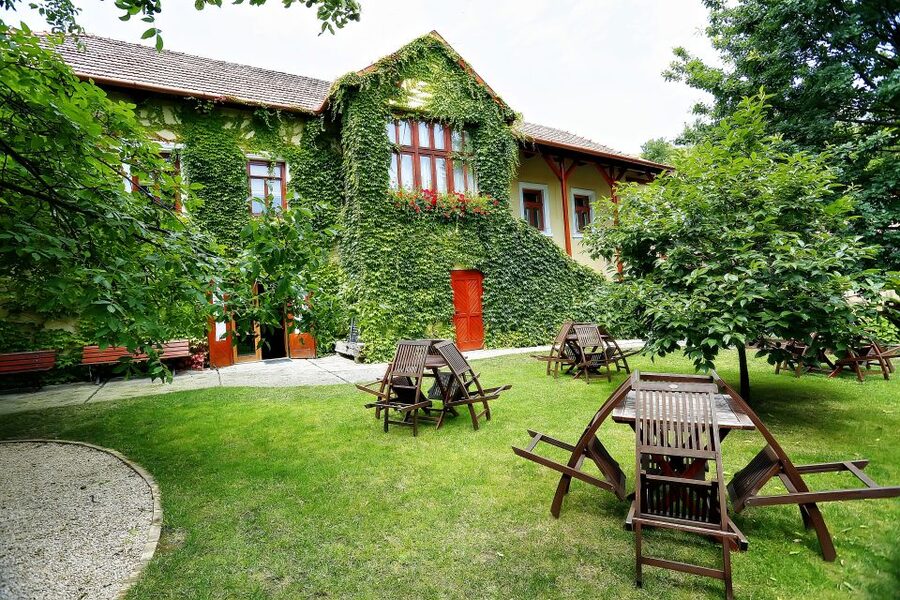 Tokaj: Classic Wine Tasting - Tokaj in About 90 Minutes, Dry to Aszú