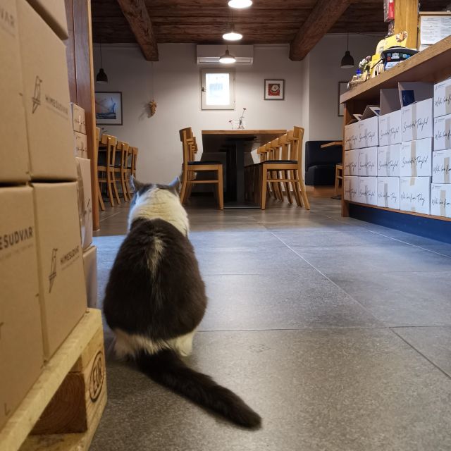 Tokaj: Classic Wine Tasting - Cheese, Bread, and Olives: The Pairing That Makes a Difference
