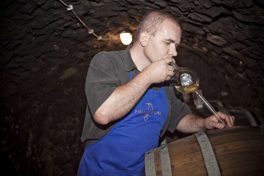 Tokaj: Classic Wine Tasting - A Family Winery Feel, With Real People and a Laid-Back Atmosphere