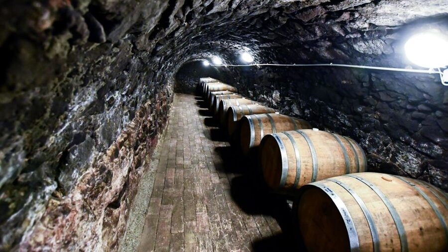 Tokaj: Classic Wine Tasting - Price and Value: Is $26 Worth It?