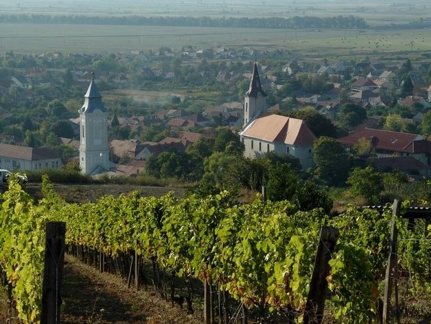 Tokaj Private Day Tour from Budapest - Key things I’d circle before you book