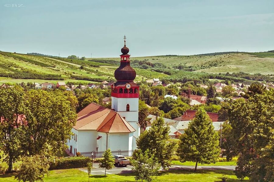 Tokaj Private Day Tour from Budapest - Tasting smarter with 4 wines and snack breaks