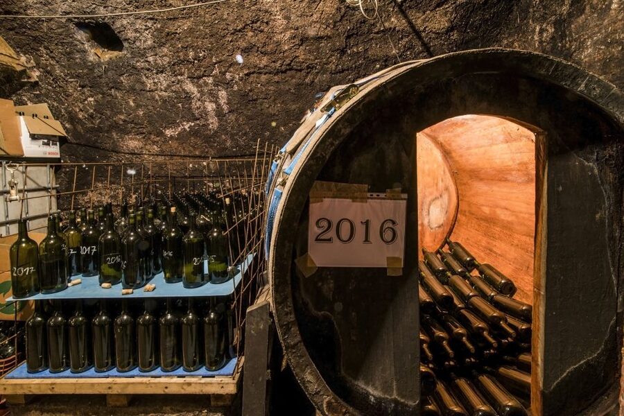 Tokaj Private Day Tour from Budapest - Lunch and time breaks, planning for the human side of the day