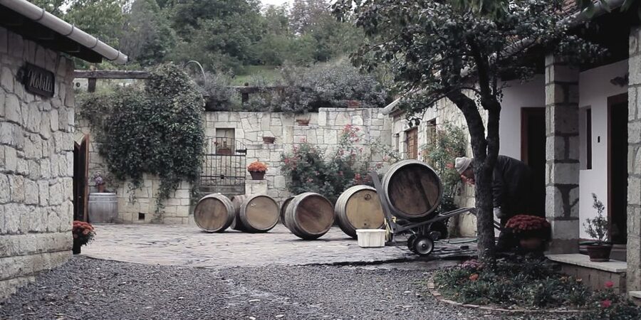 Tokaj Private Day Tour from Budapest - From Széchenyi tér to the Tokaj area, timing and travel reality