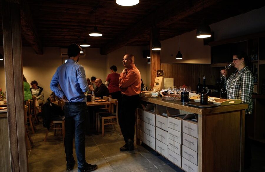 Tokaj: Vineyard Tour & Tasting - Hotel pickup and a smooth 3-hour plan